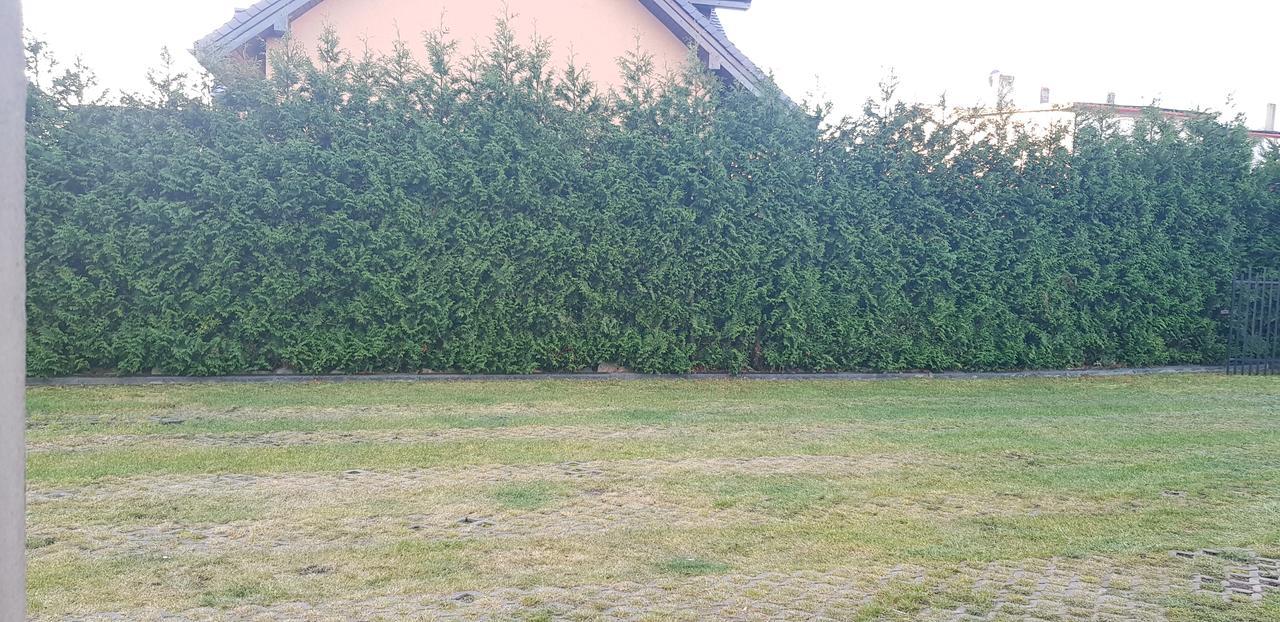 Pokoje Goscinne Pryzmat Władysławowo Buitenkant foto